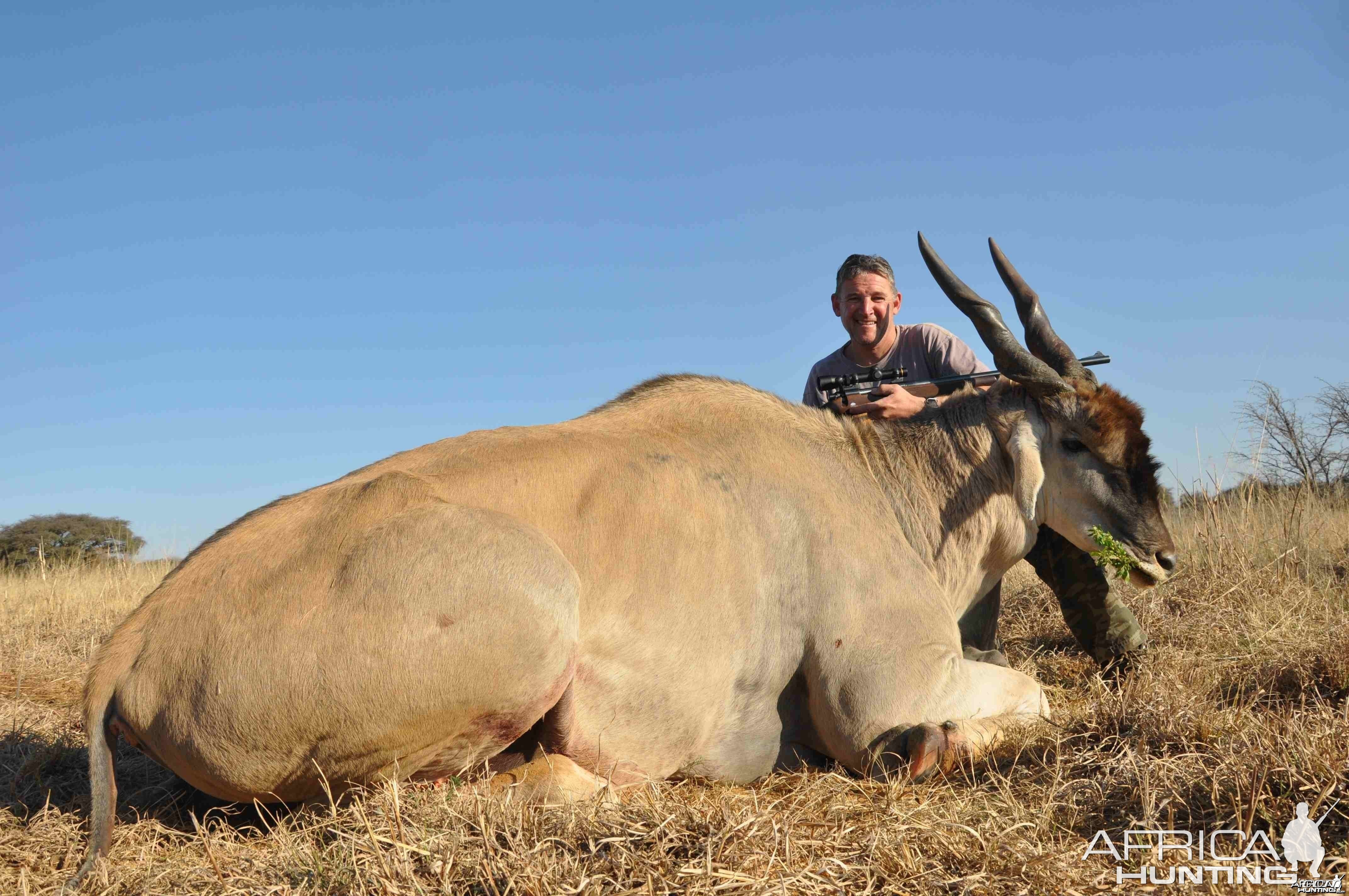 Massive Eland Bull