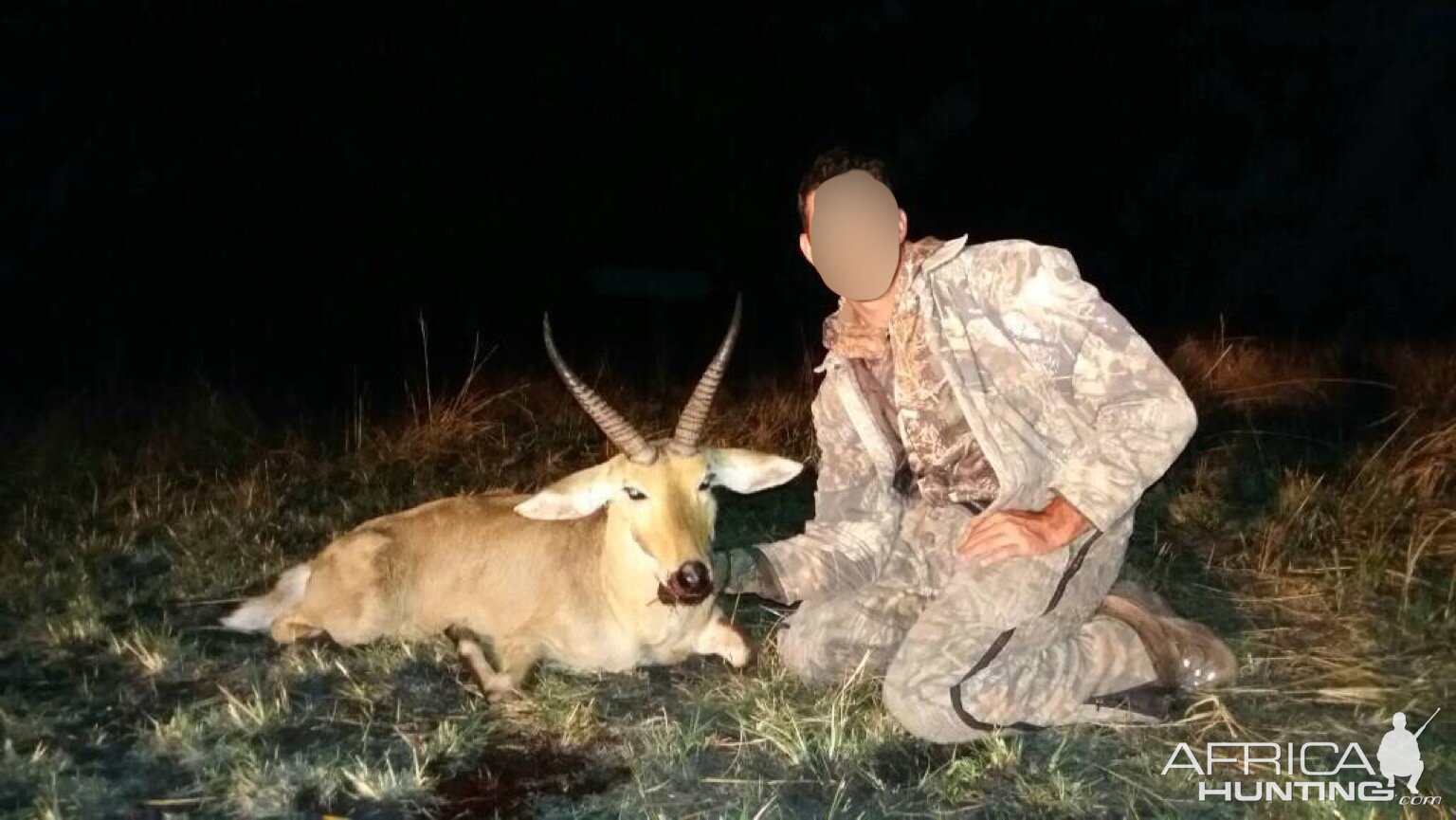 Matetsi Area Zimbabwe Hunting Reedbuck