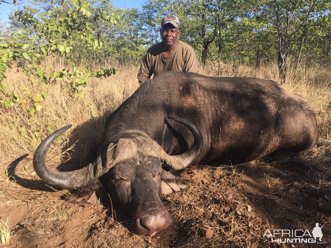 Matetsi Cape Buffalo Hunt Zimbabwe