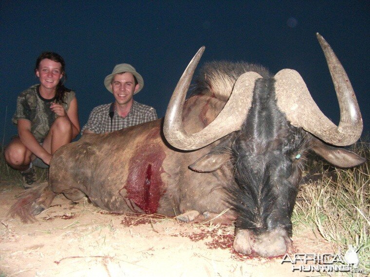 Mattias culling Black wildebeest