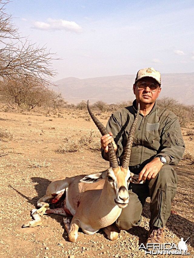 mature grant gazelle shot at Gelai area Tanzania