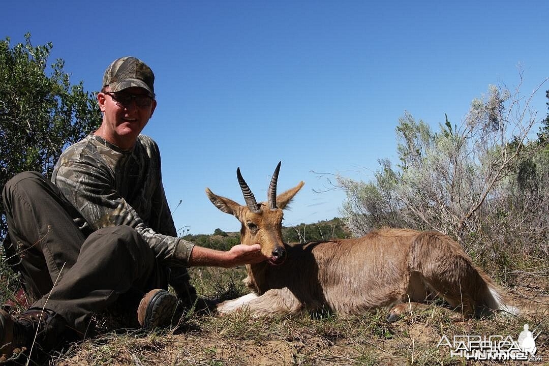 mature mountain reedbuck