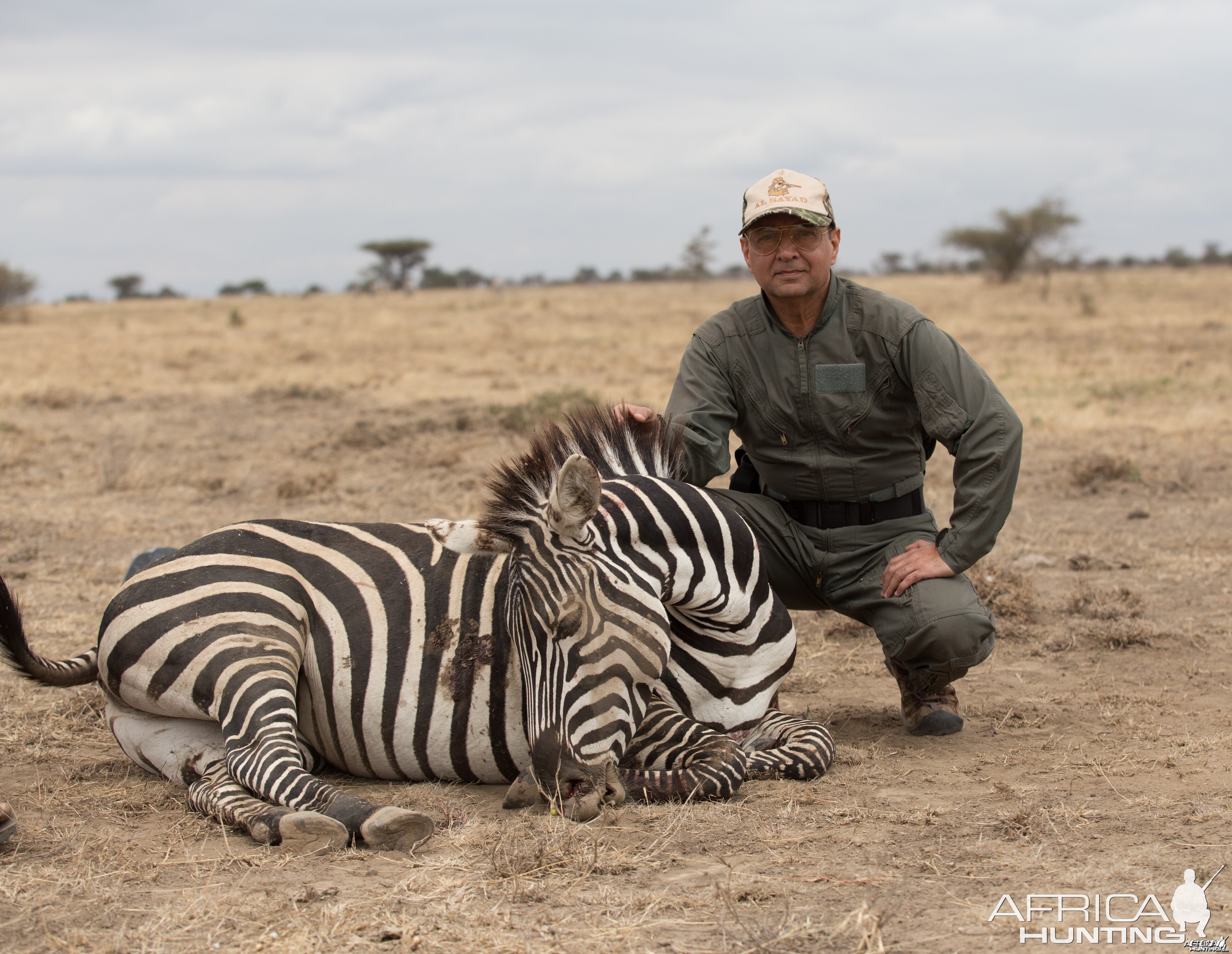 Mature Zebra, Masailand, Tanzania