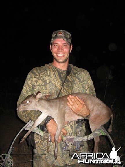 Maxwell's Duiker Bowhunting