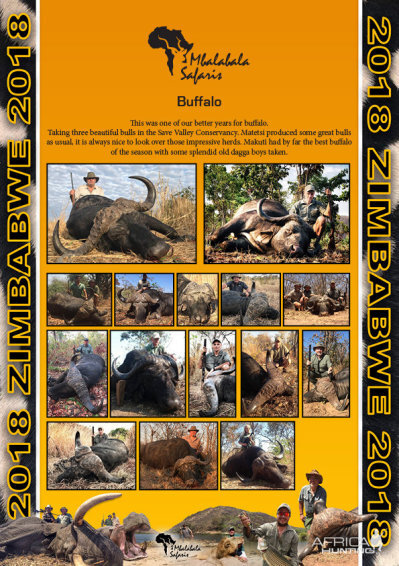 Mbalabala Safaris End Of Season Hunt Report 2018 (3)