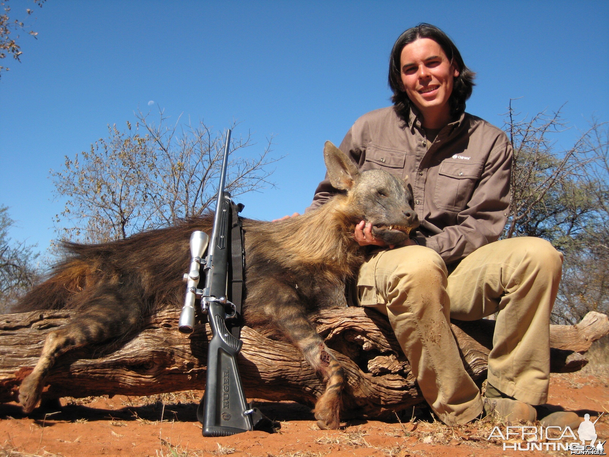 MBUYU SAFARIS - BROWN HYENA