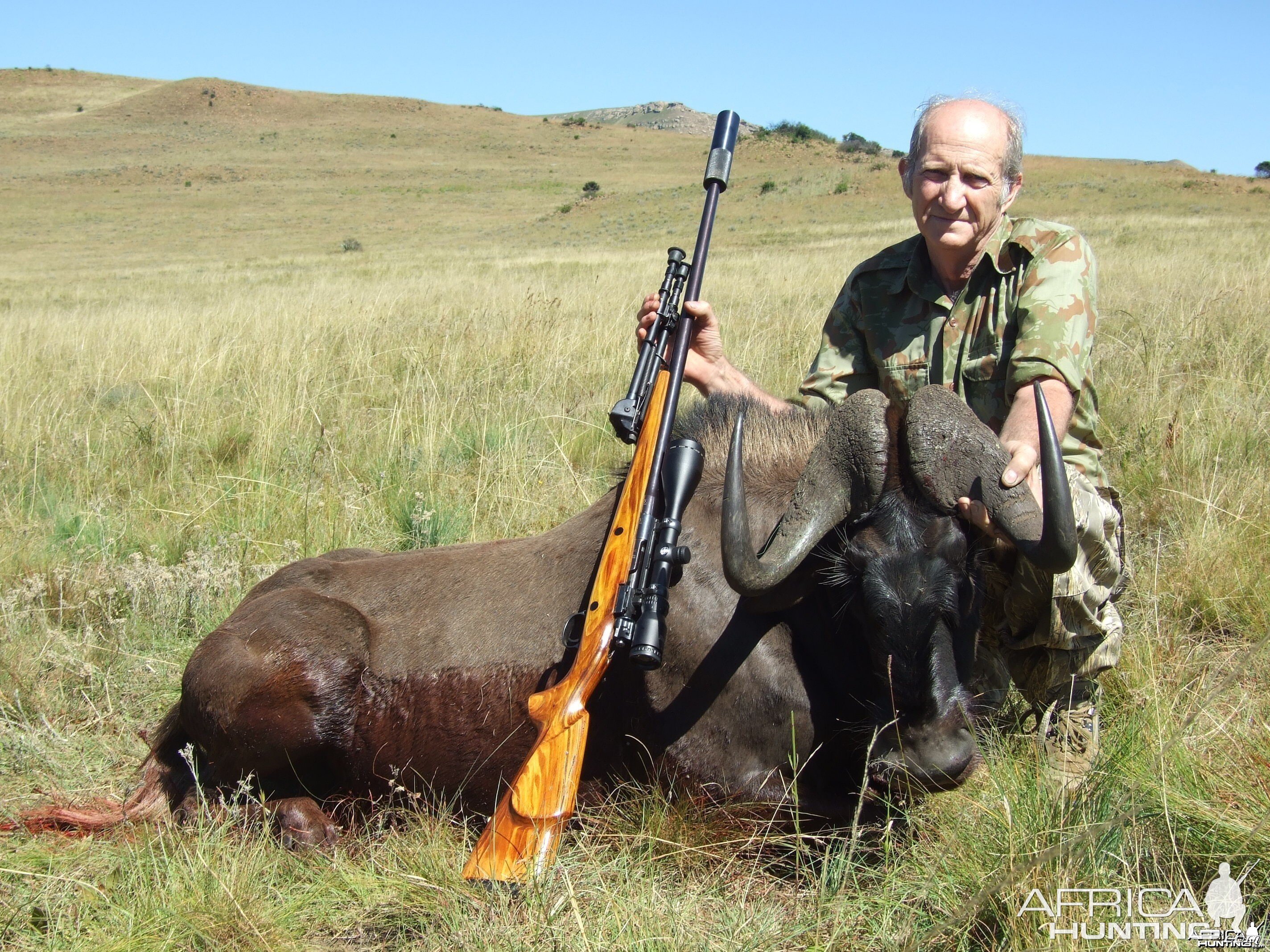 memel hunt march 2013 Black Wildebeest