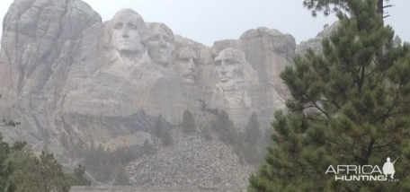 Merriams Turkey at Mount Rushmore