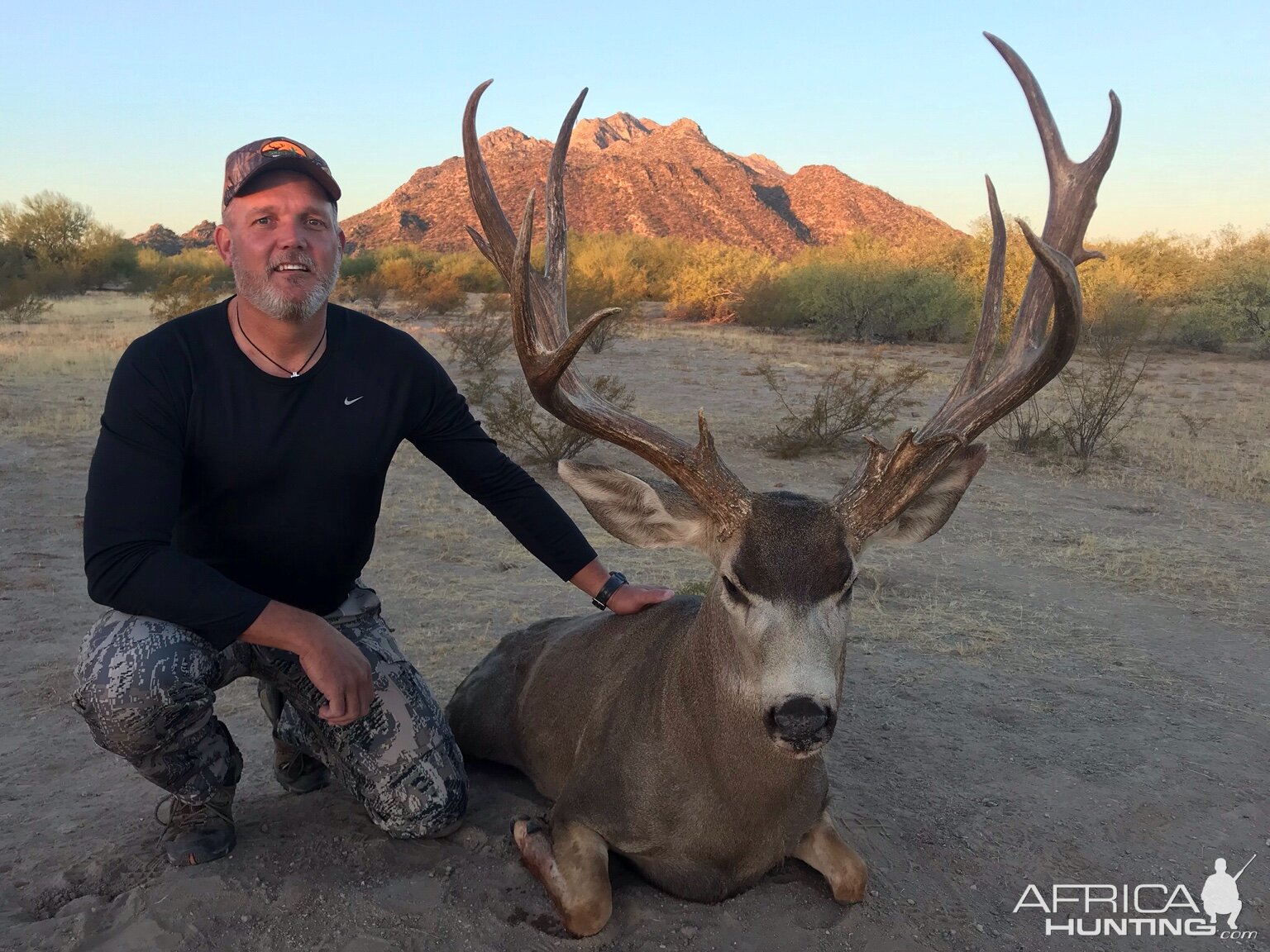 Mexico Hunting Mule deer