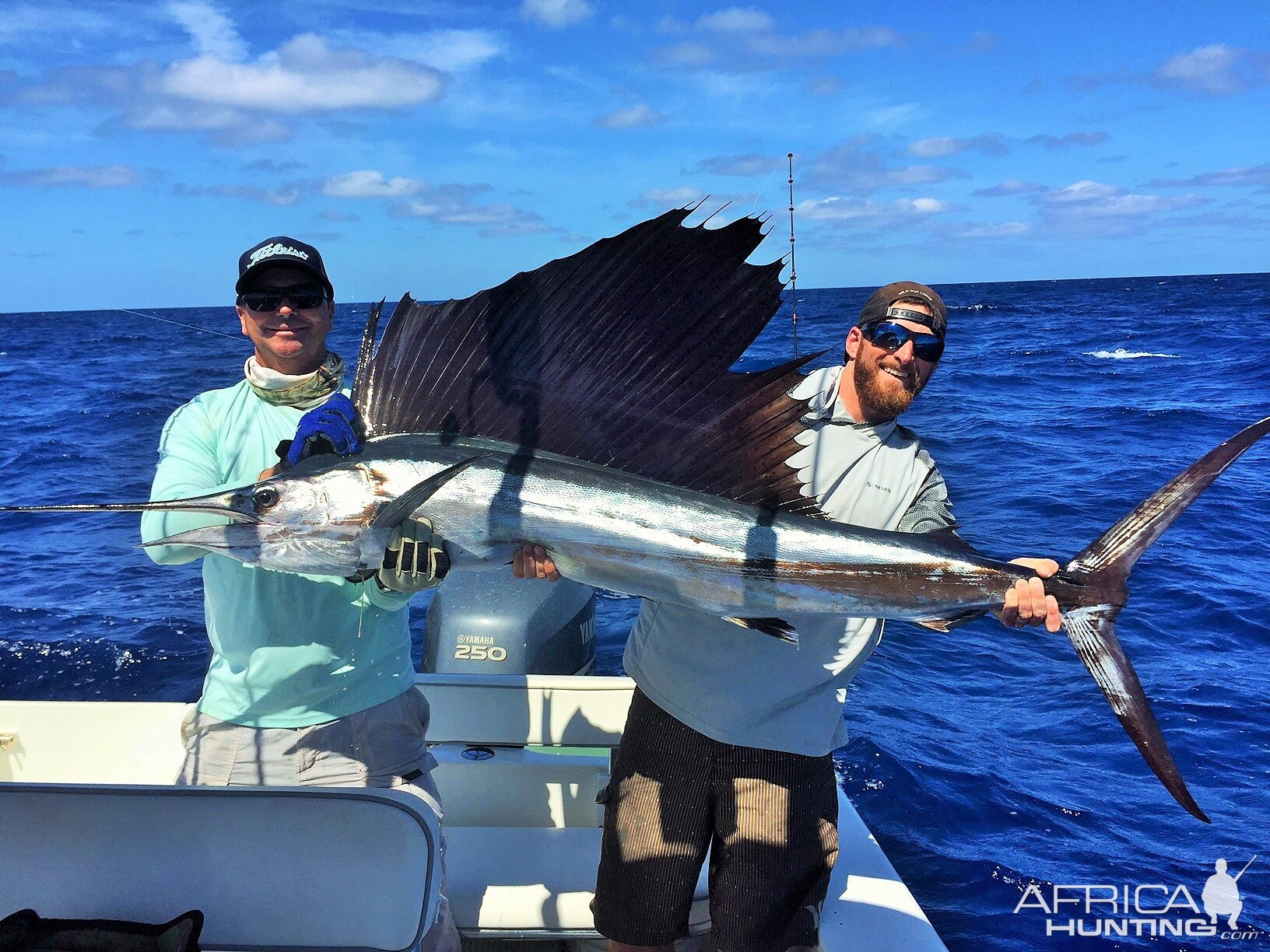 Miami Fishing Marlin