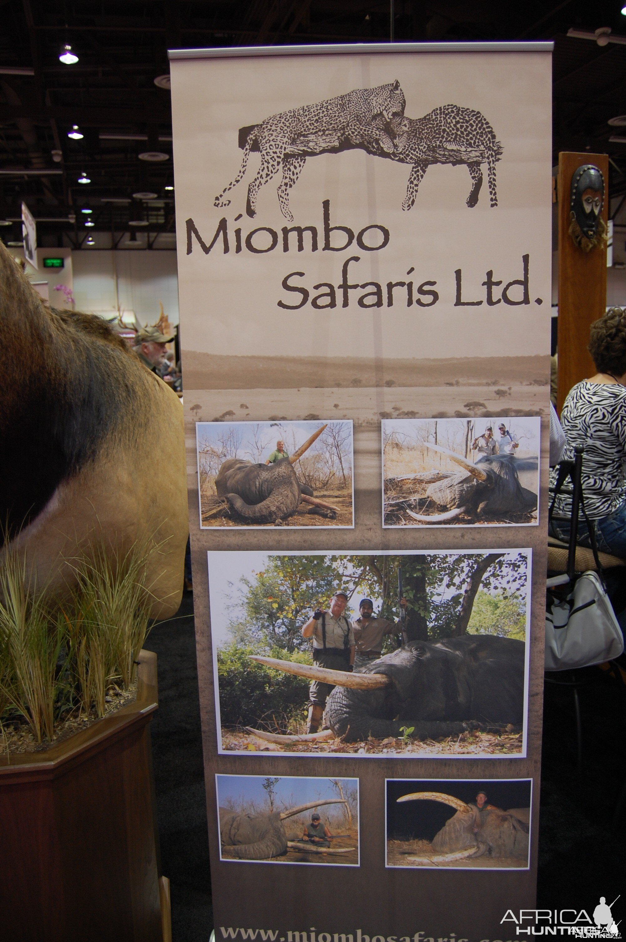 Miombo Safaris