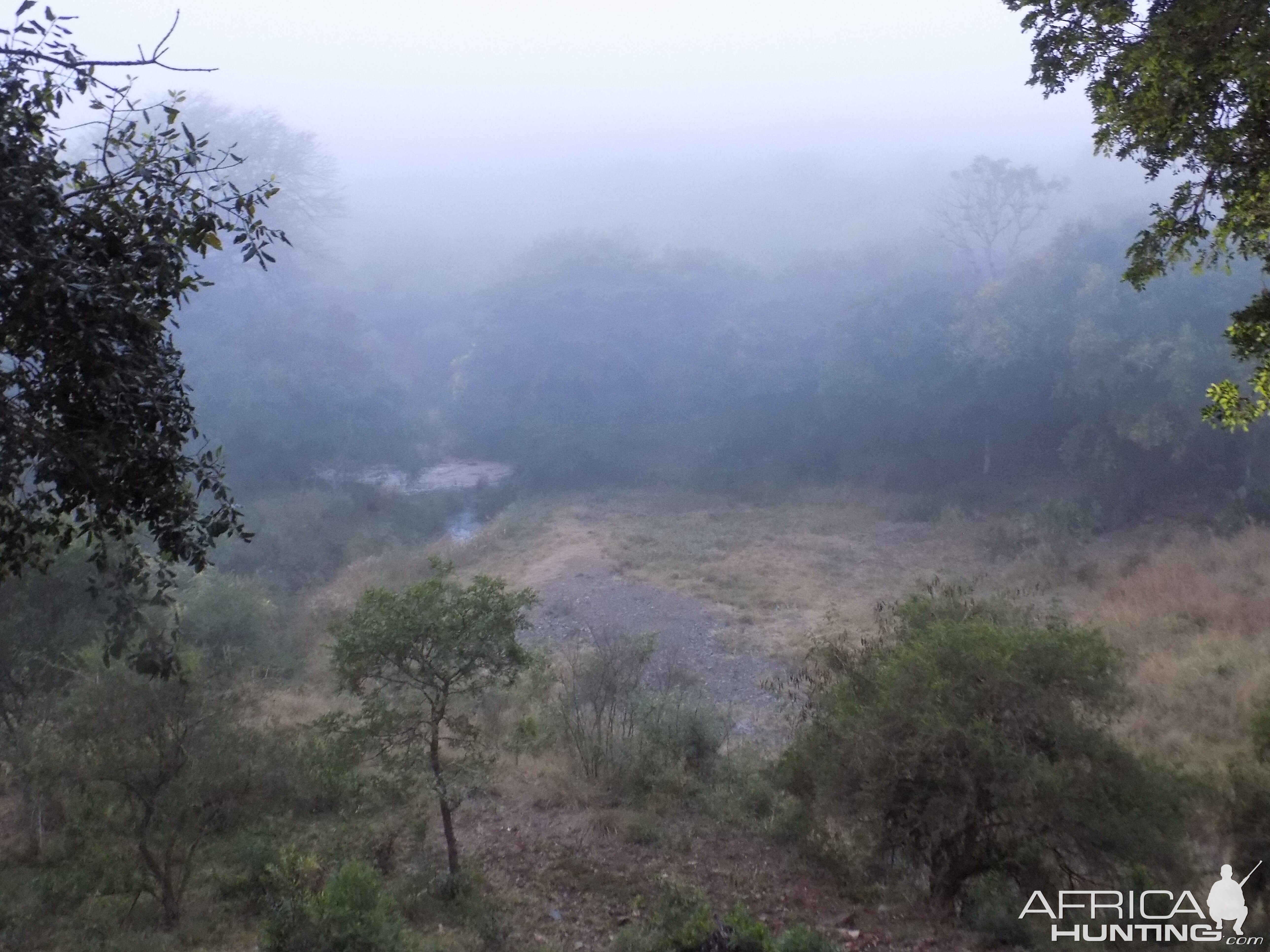 Mist in the morning