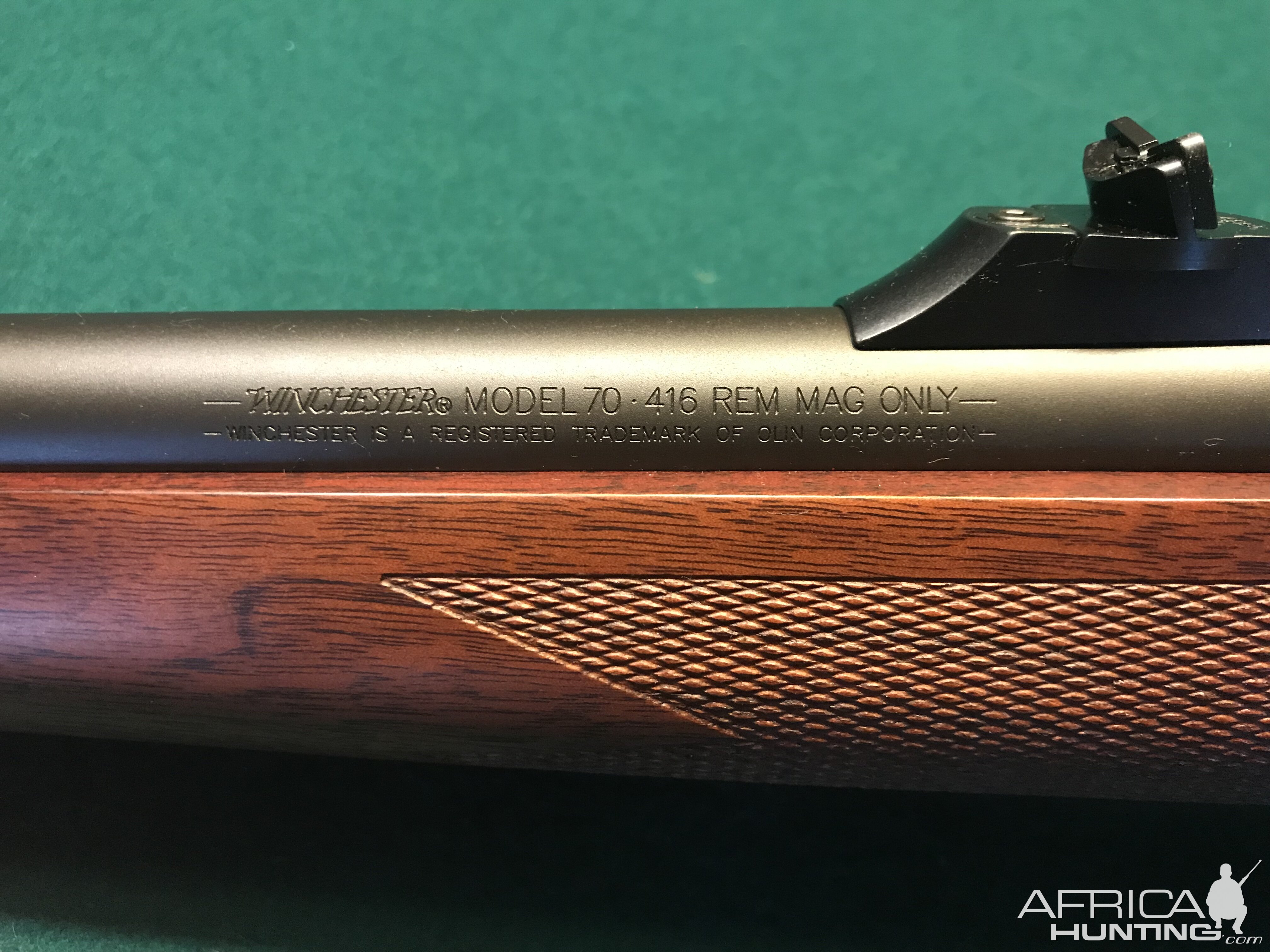 Model 70 Safari Express in 416 Rem Mag