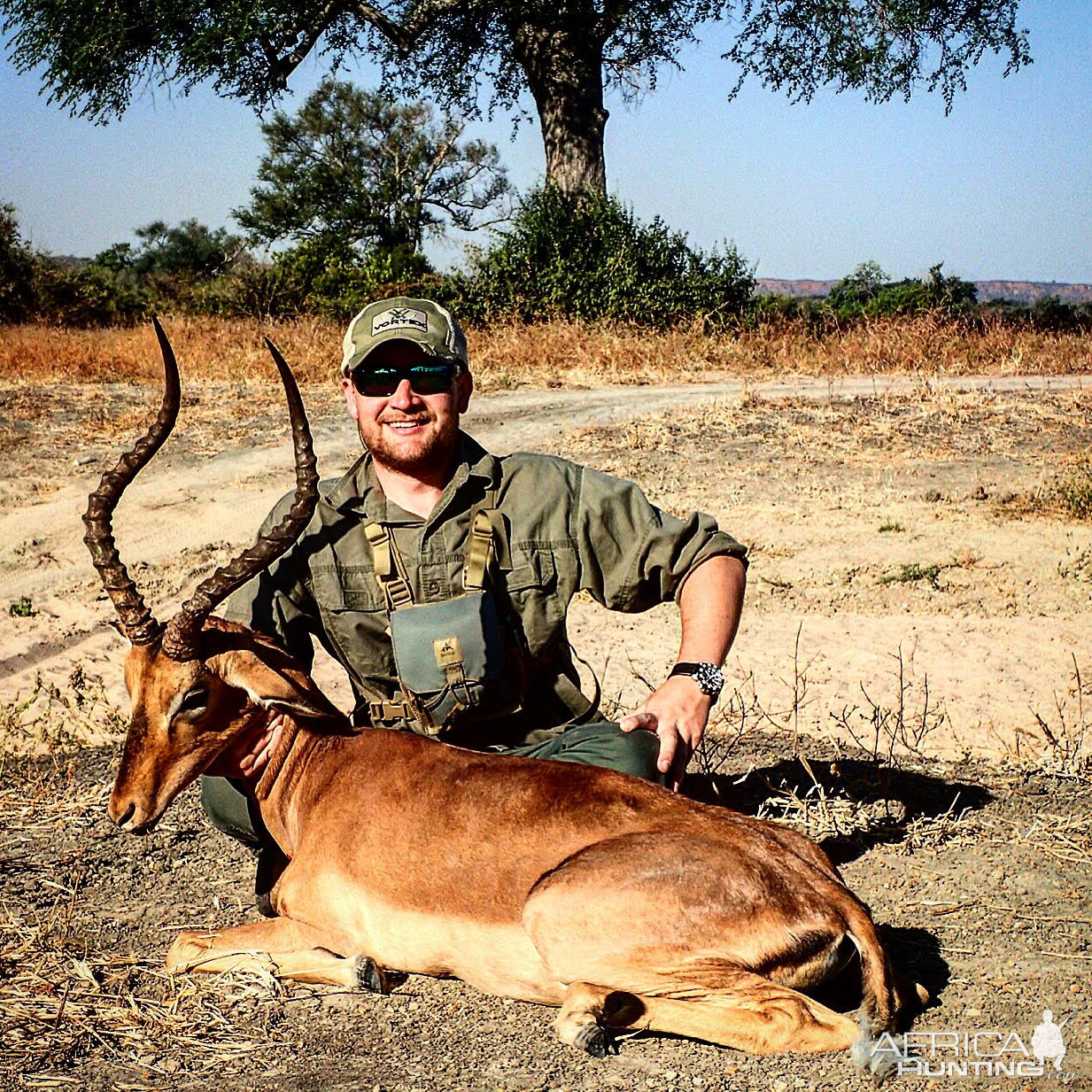 Mokore Safaris:  Impala