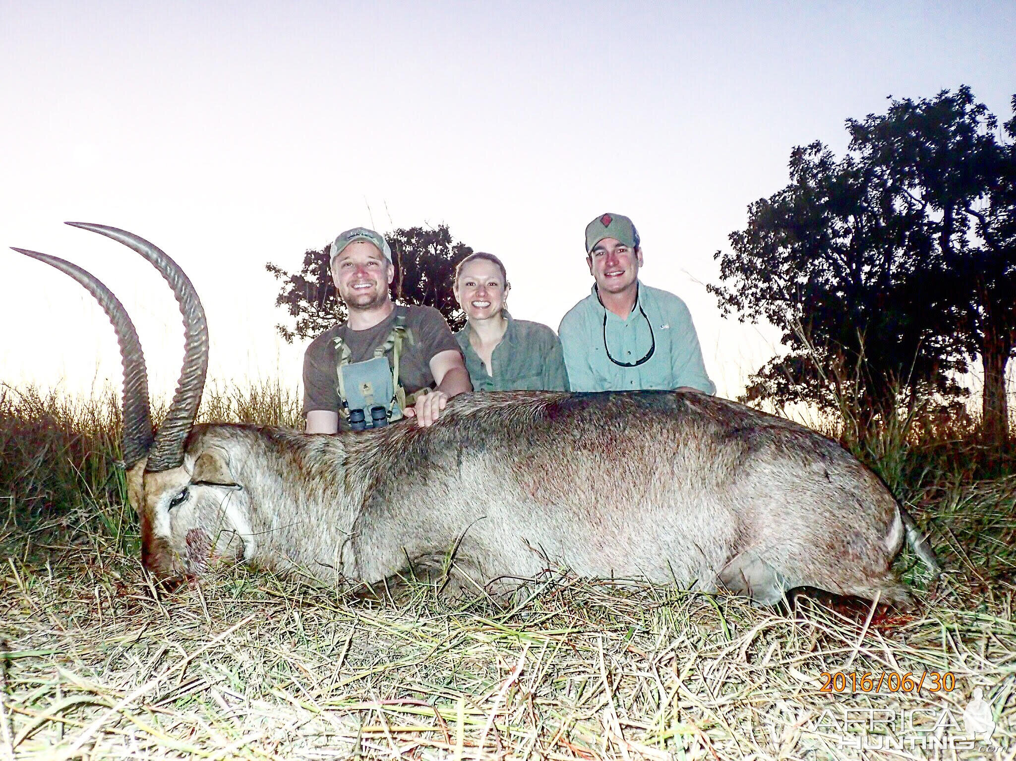 Mokore Safaris:  Waterbuck