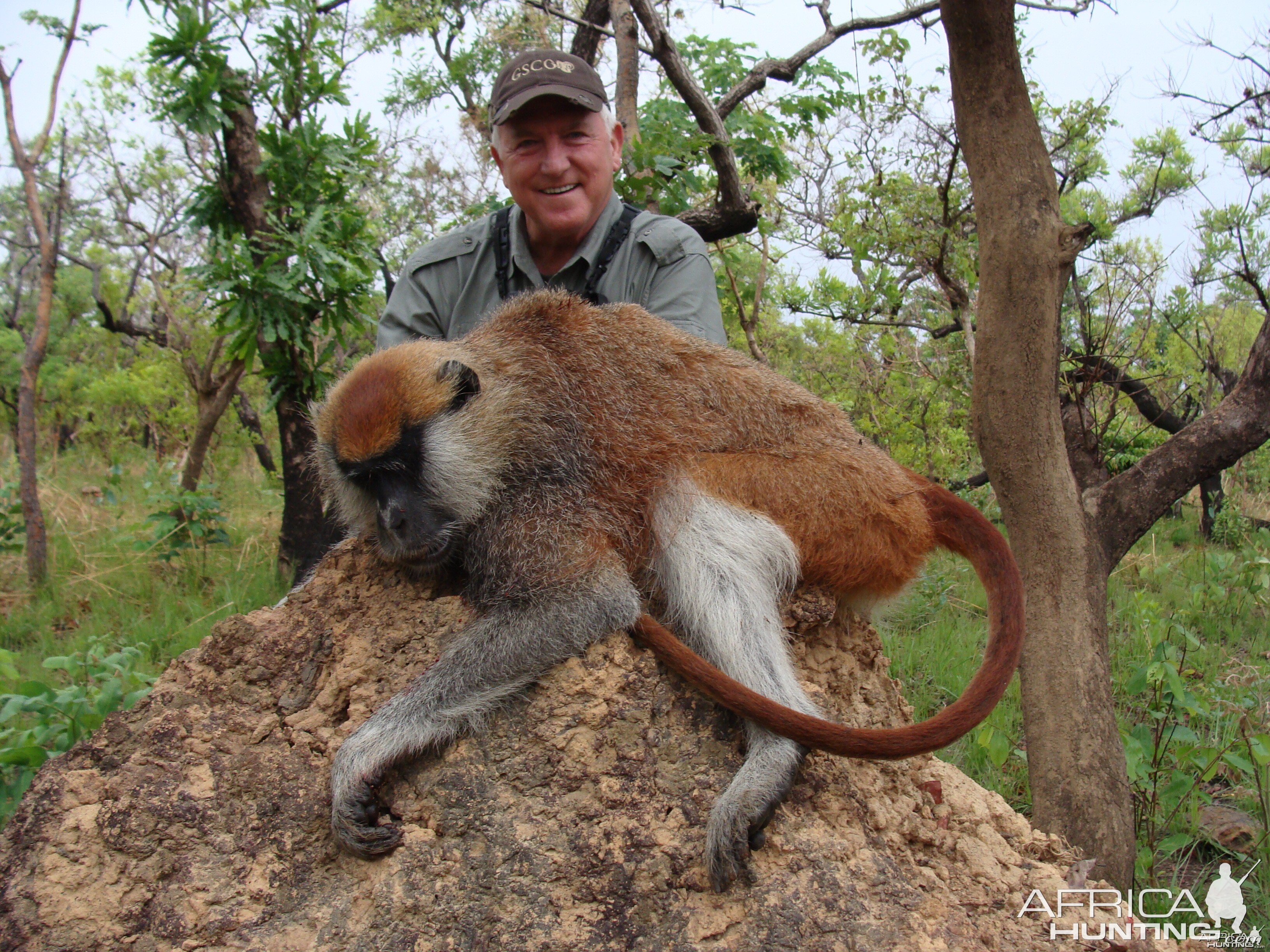 Monkey hunt with CAWA in CAR