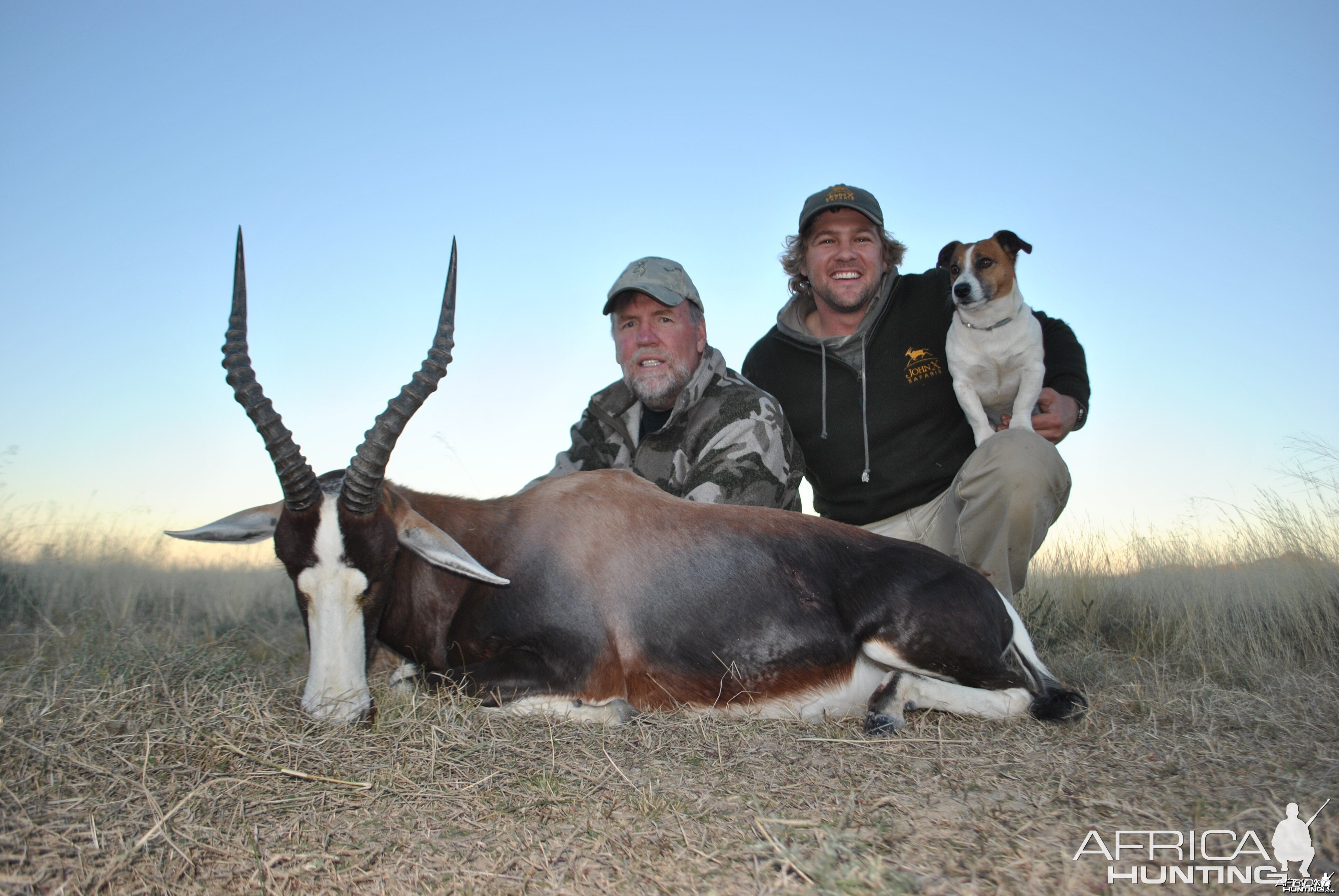 Monster Bontebok 16 3/4"