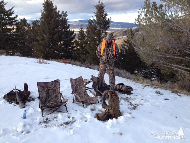 Montana Hunting Deer