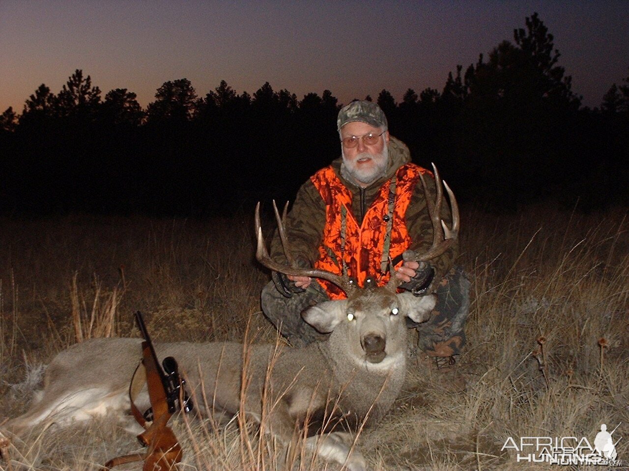 Montana Muley