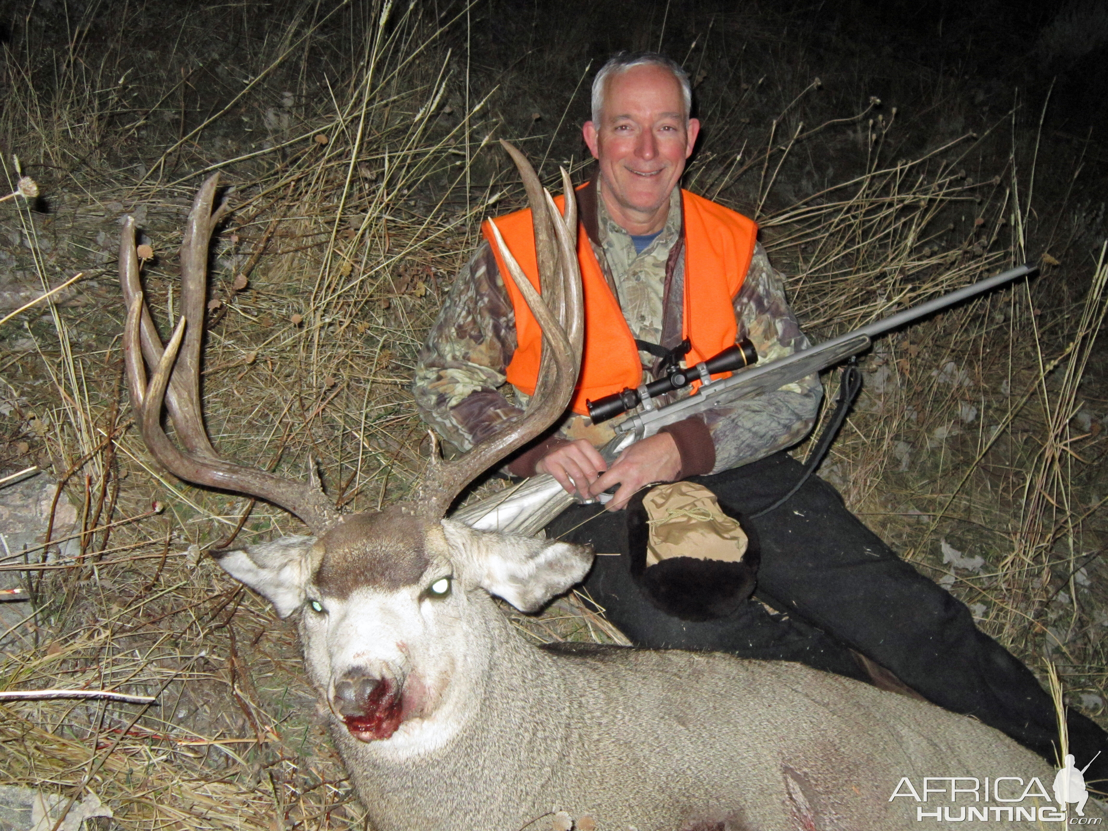 Montana USA Hunt Mule Deer