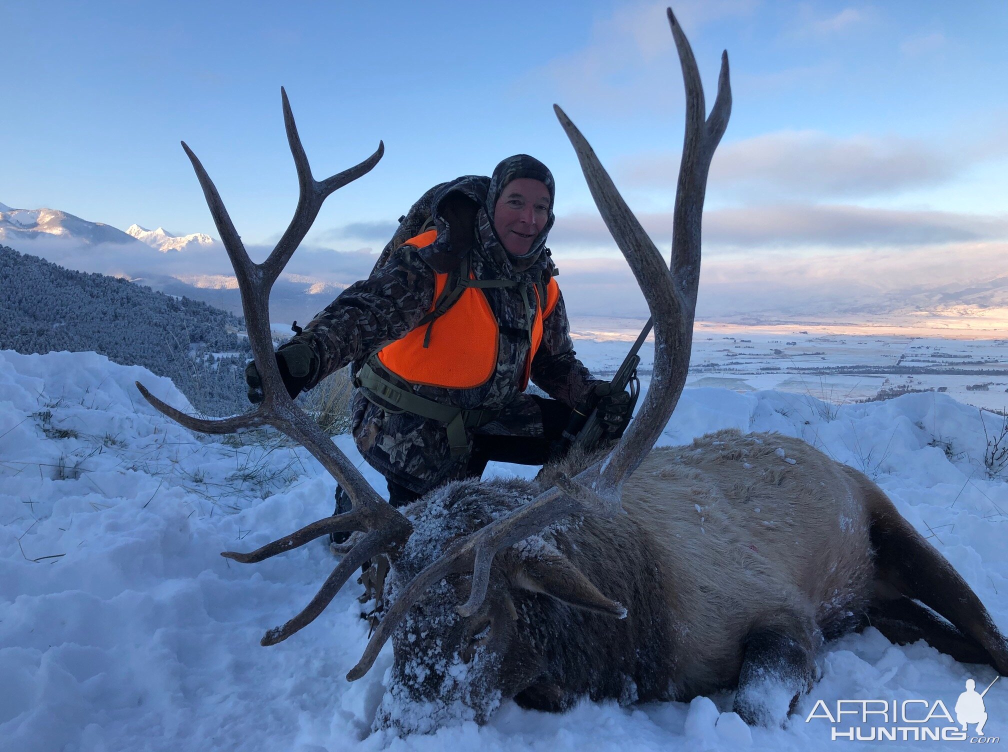 Montana USA Hunting Elk