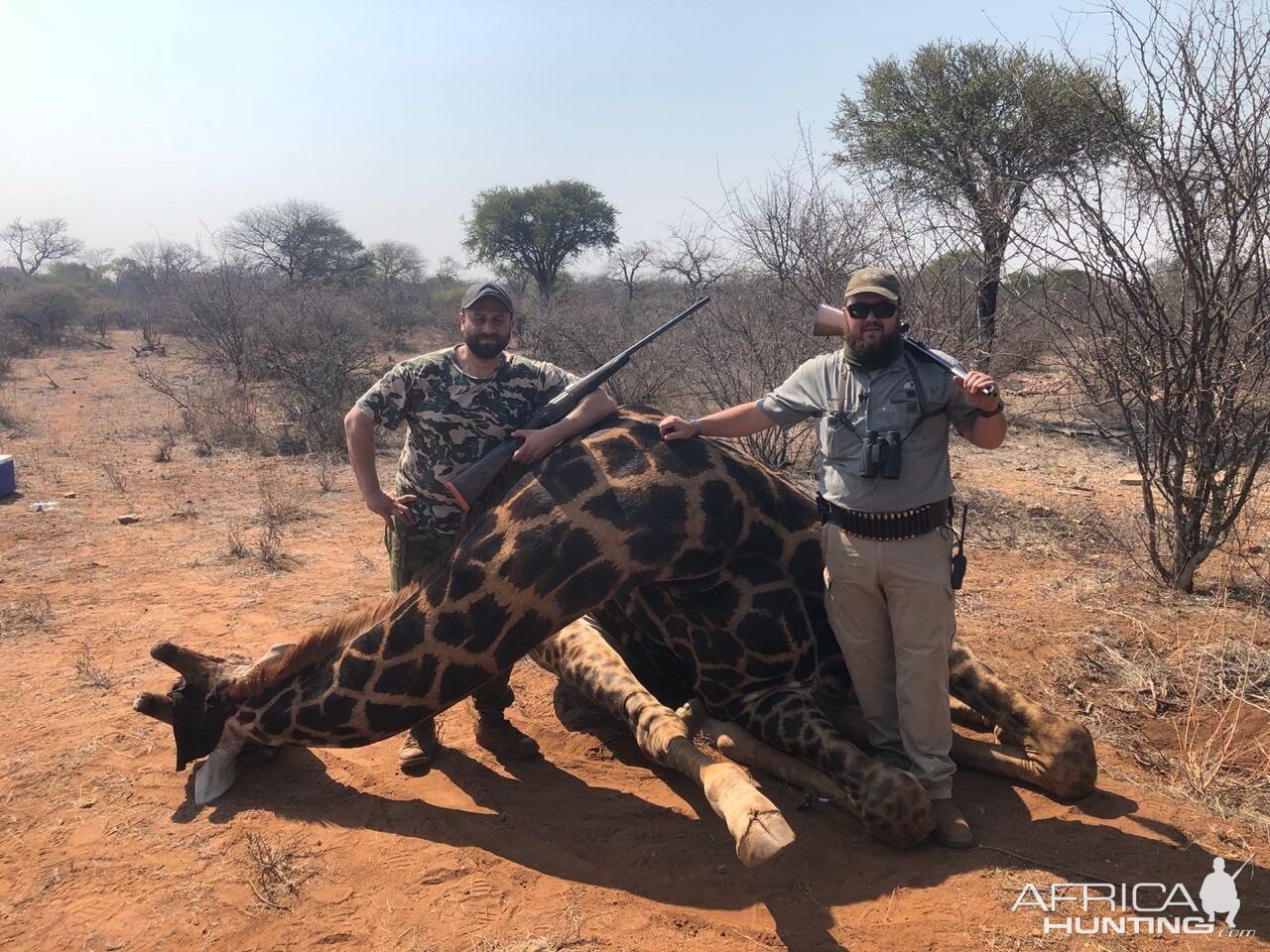 Monterra Safaris - Black Giraffe Bull