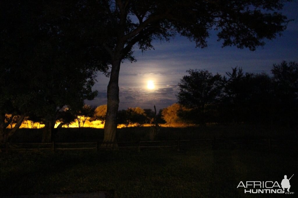 Moon South Africa