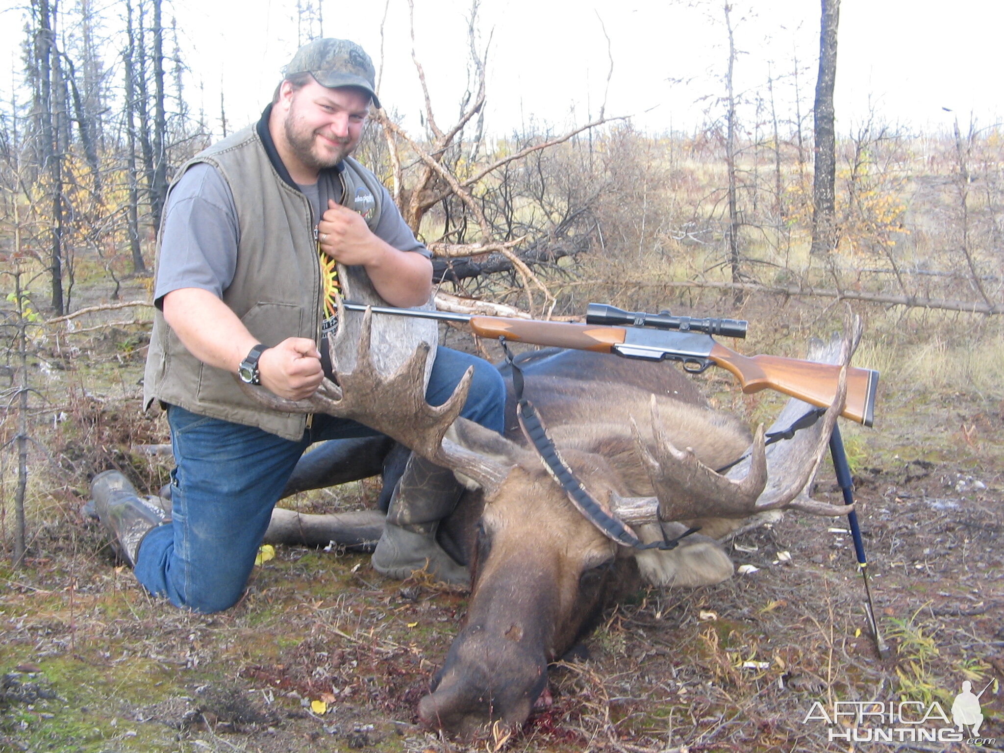 Moose 50 inch 2011