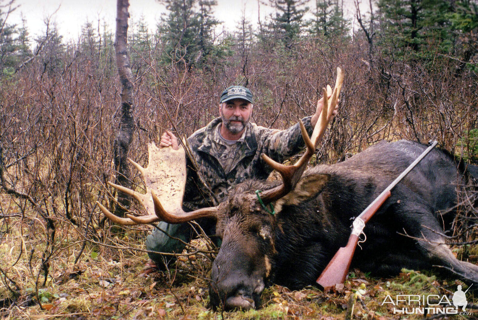 Moose Hunt Alaska