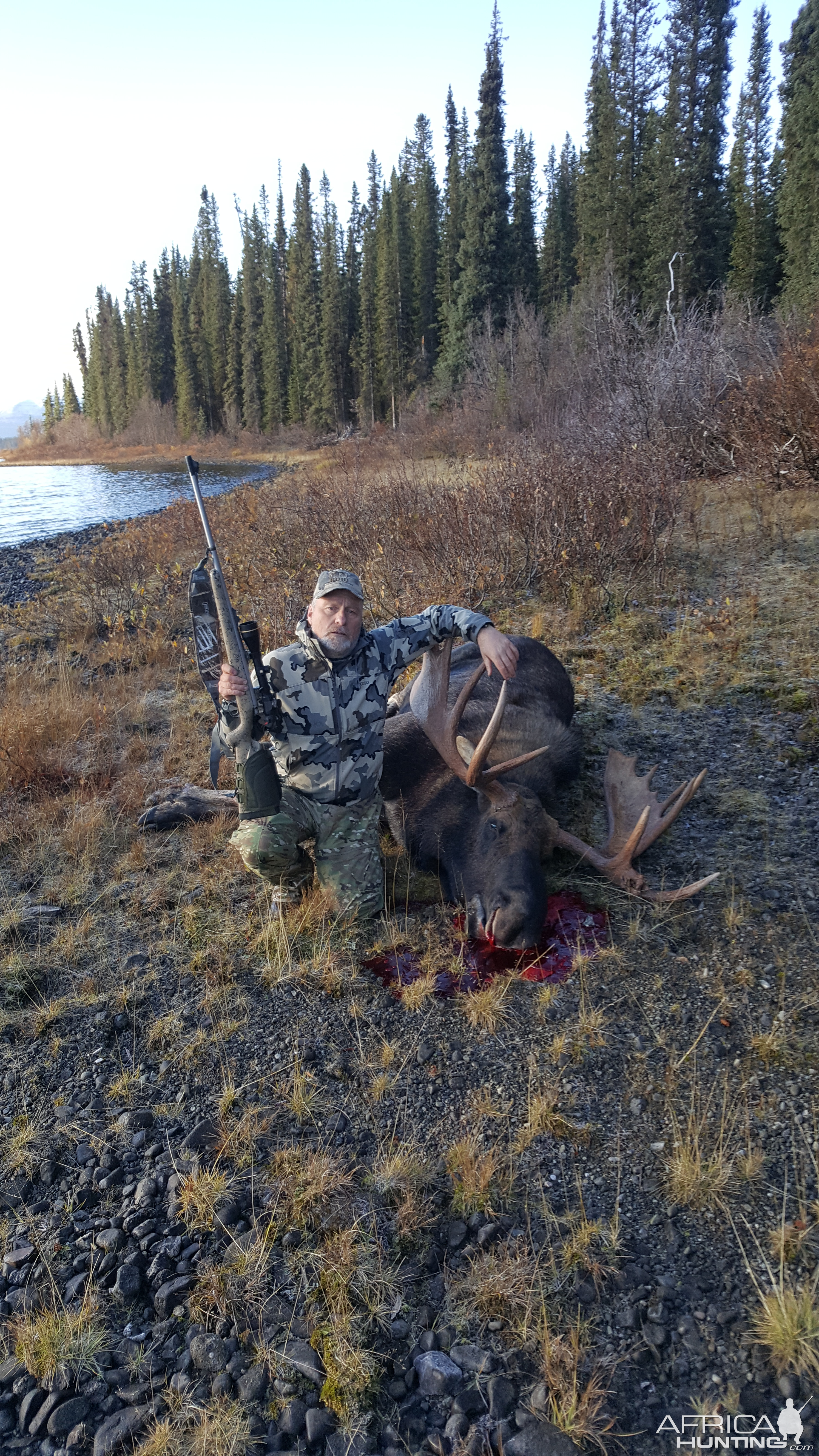 Moose Hunt in Northern British Columbia, Canada