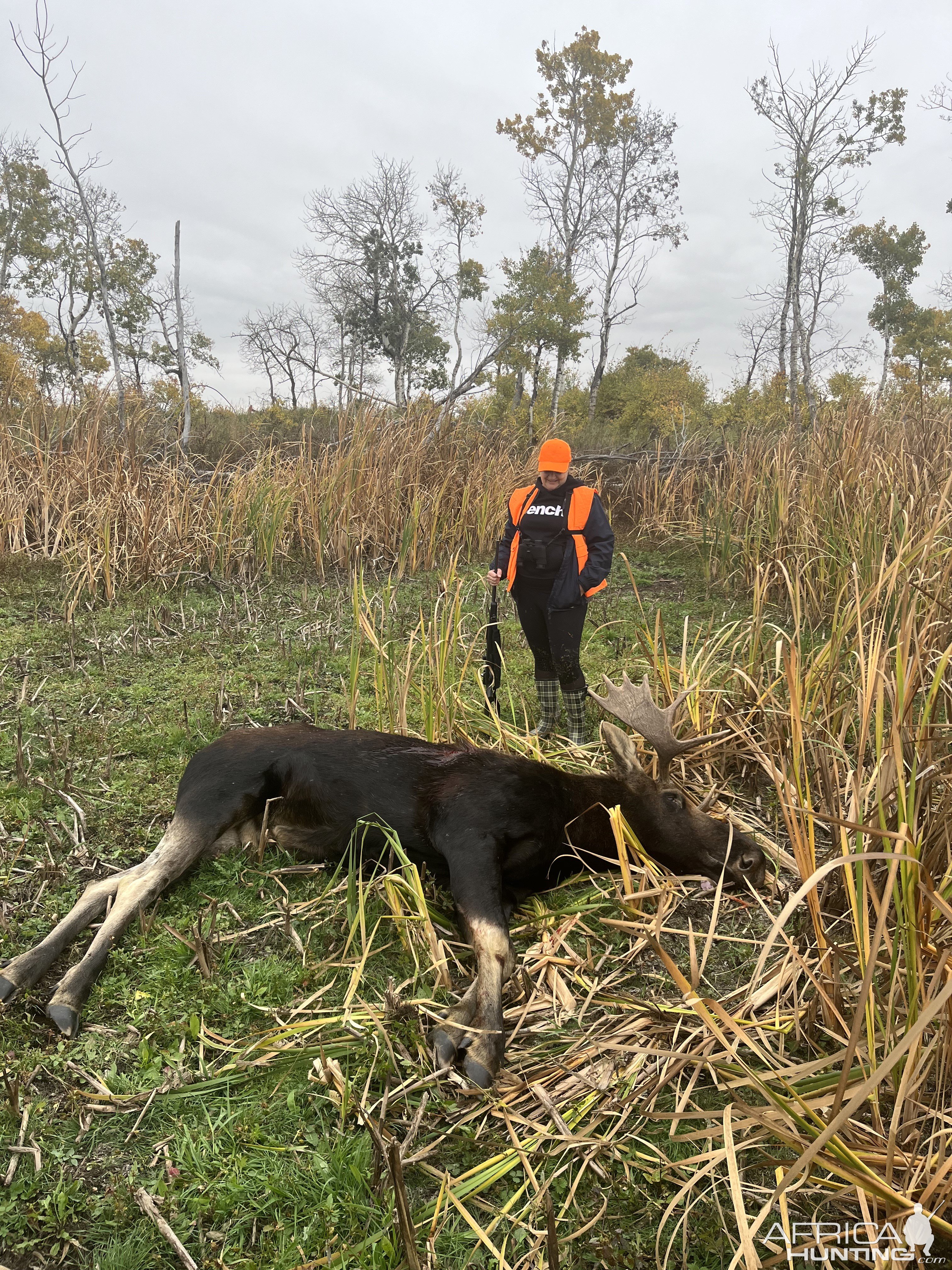 Moose Hunting Canada