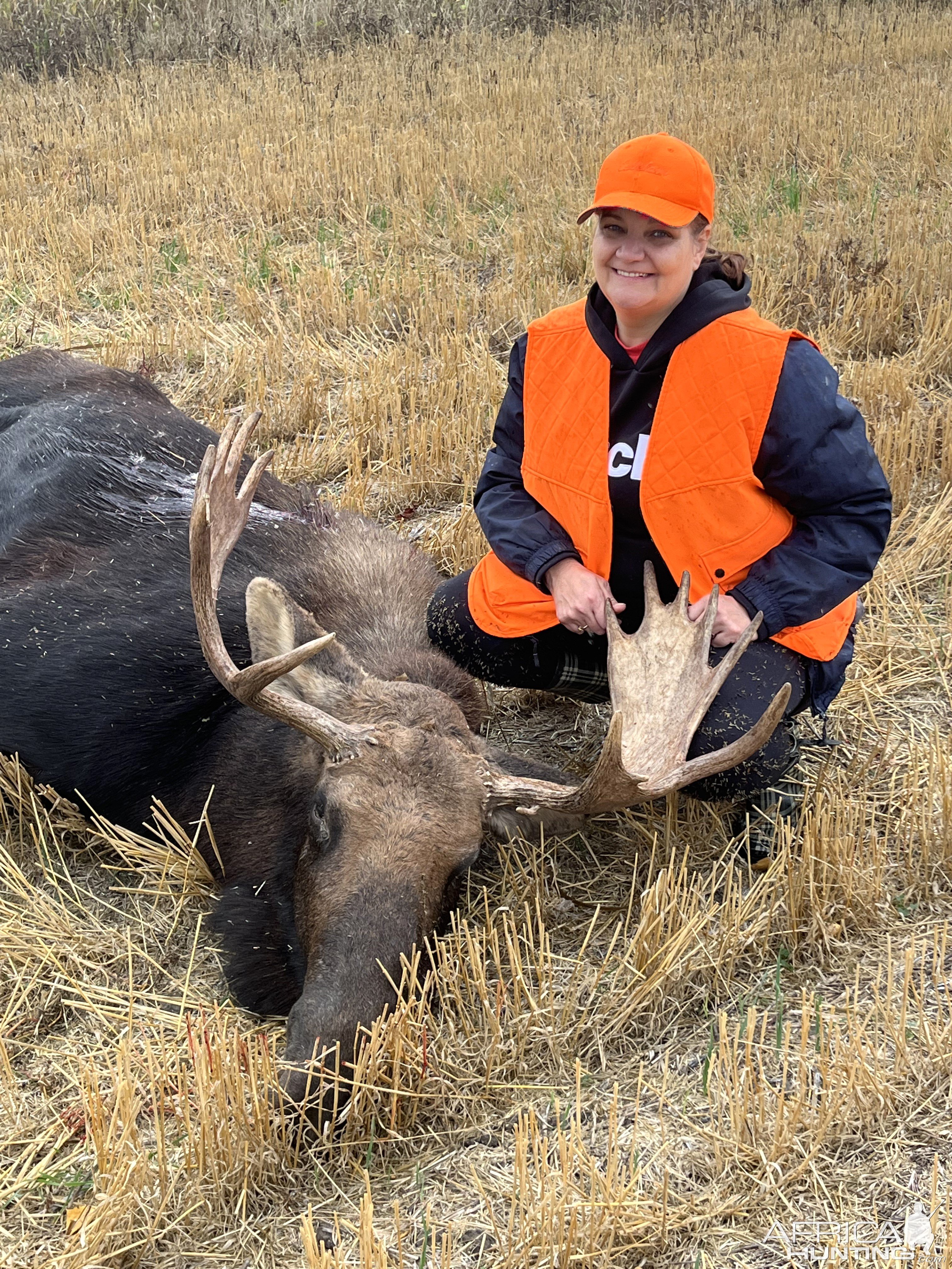 Moose Hunting Canada