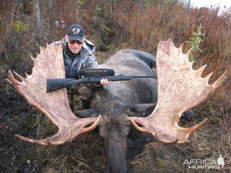 Moose Hunting