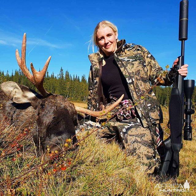 Moose Hunting