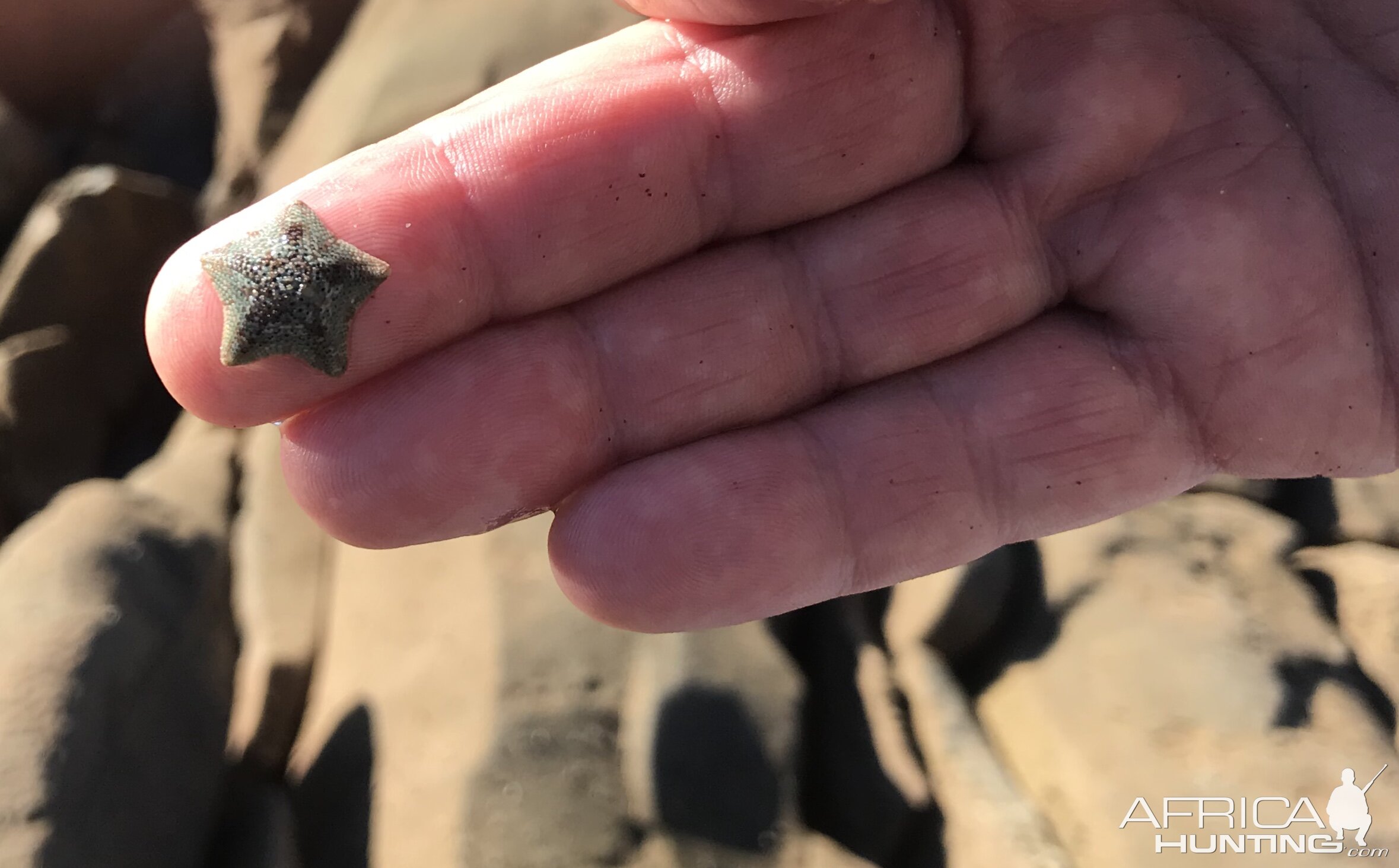 Mossel Bay Tidal pools in South Africa