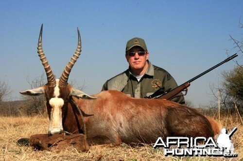 Motsomi Safaris - Blesbuck