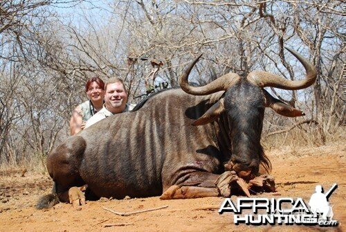 Motsomi Safaris - Blue wildebeest