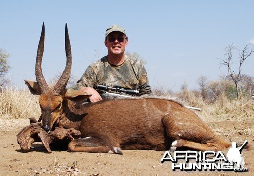 Motsomi Safaris - Bushbuck