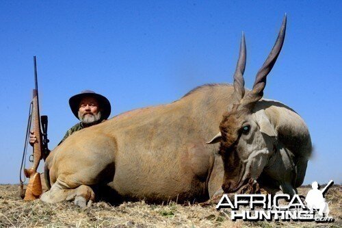 Motsomi Safaris - Eland