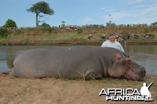 Motsomi Safaris - Hippo