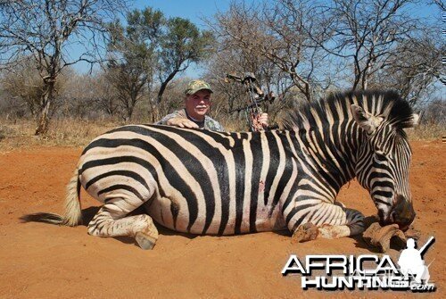 Motsomi Safaris - Zebra