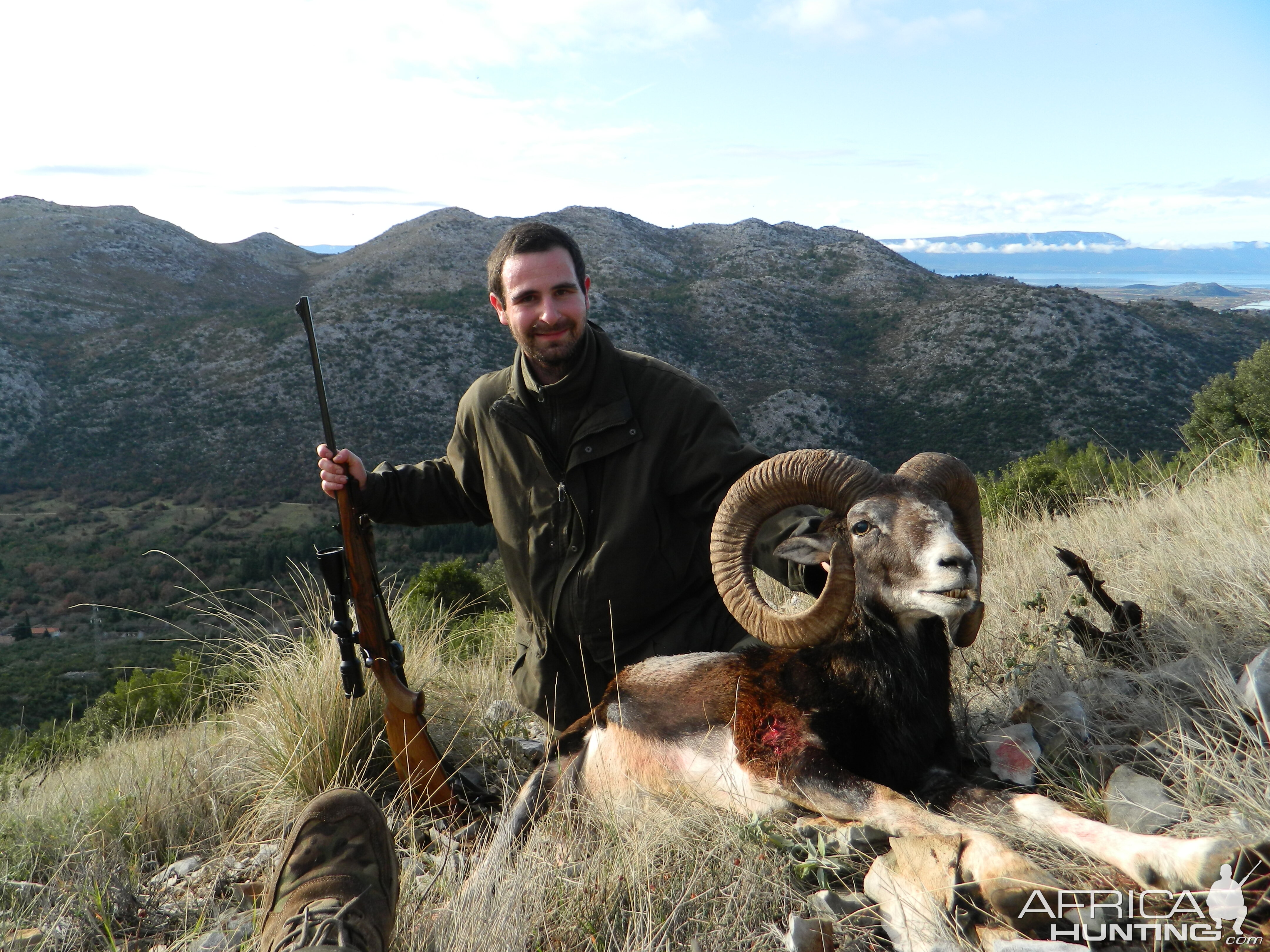 Mouflon Hunt Croatia