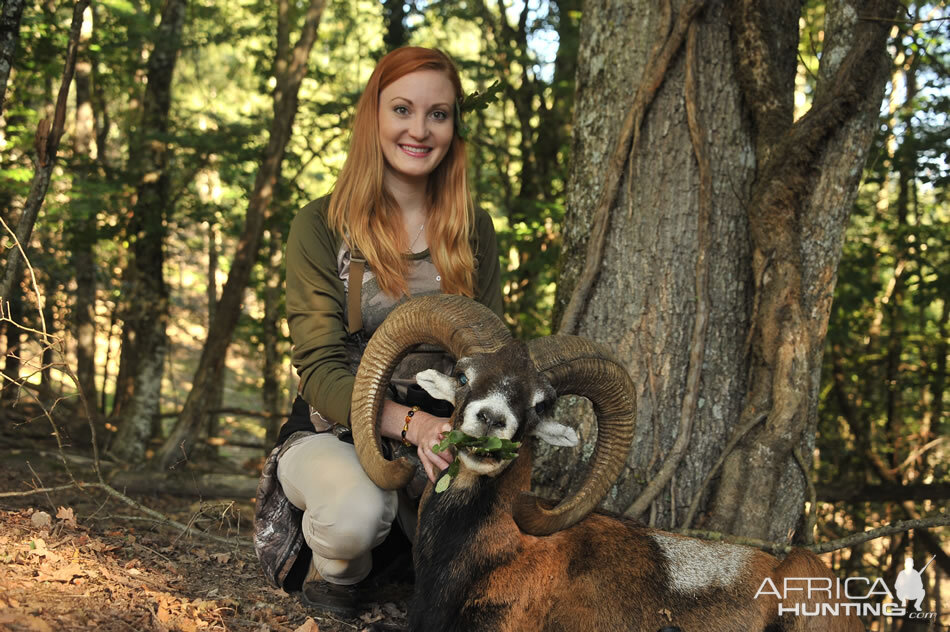 Mouflon Hunt in France