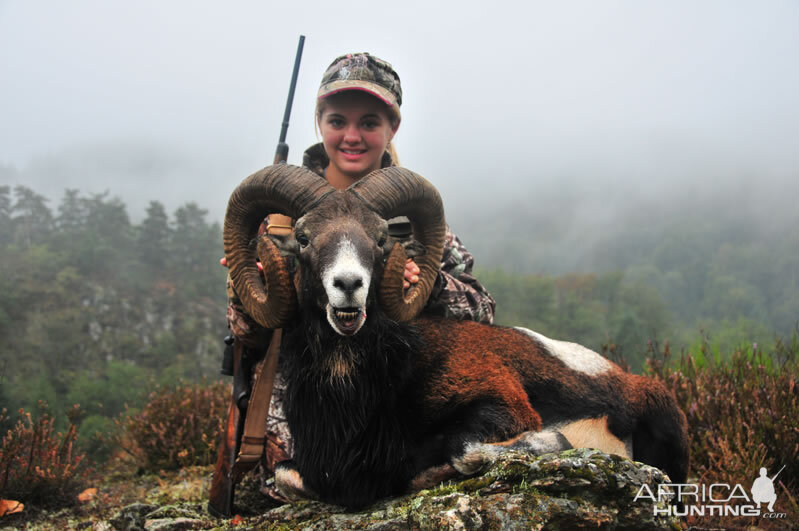 Mouflon Hunt in France