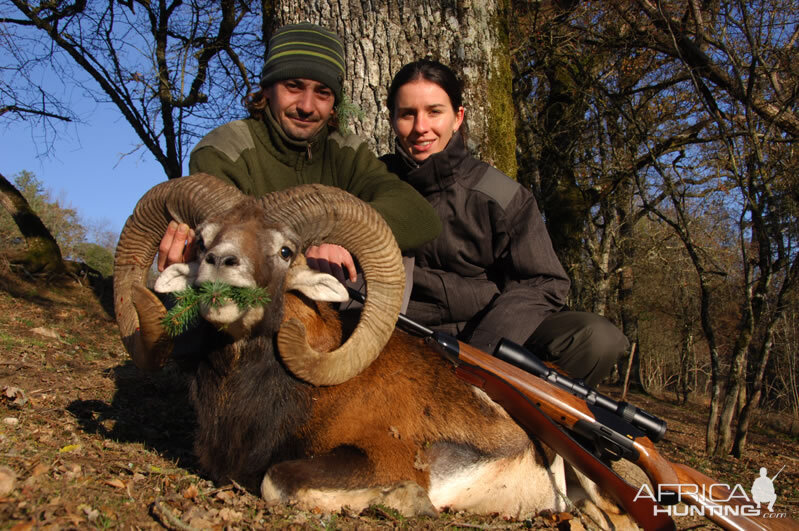 Mouflon Hunting in France