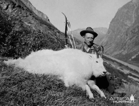 Mountain Goat Bow Hunt