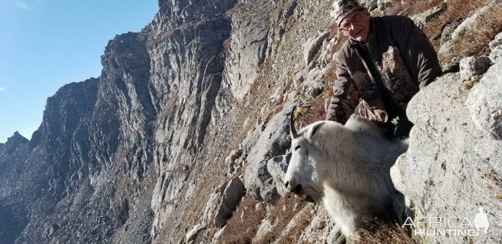 Mountain Goat Hunt Colorado USA