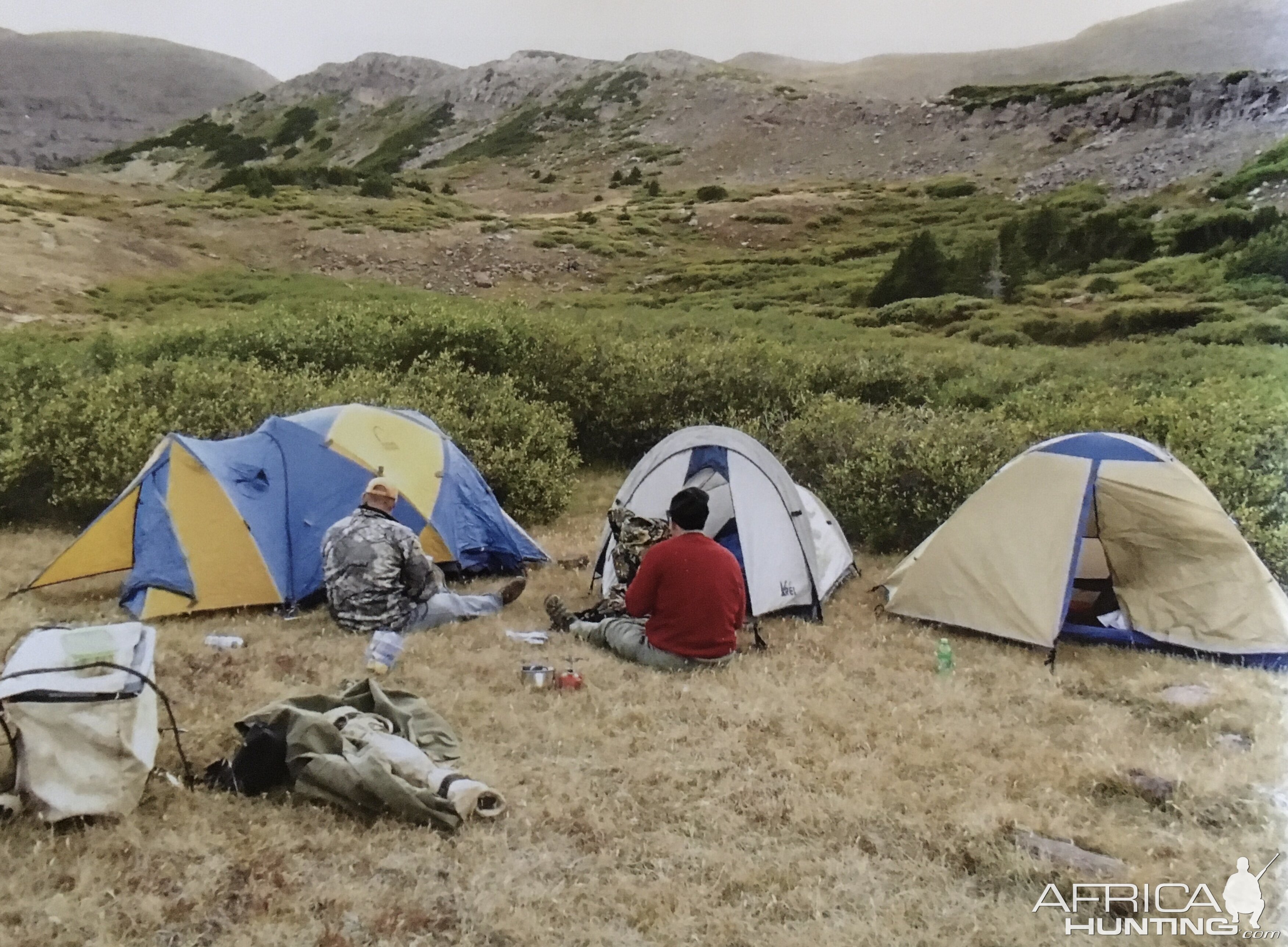 Mountain Goat Hunt USA