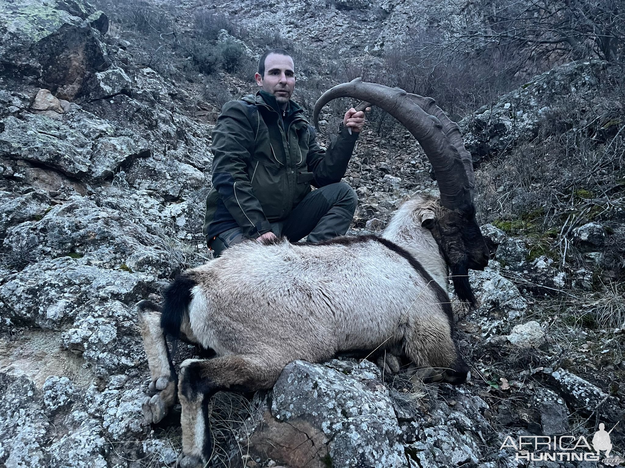 Mountain Hunting Turkey