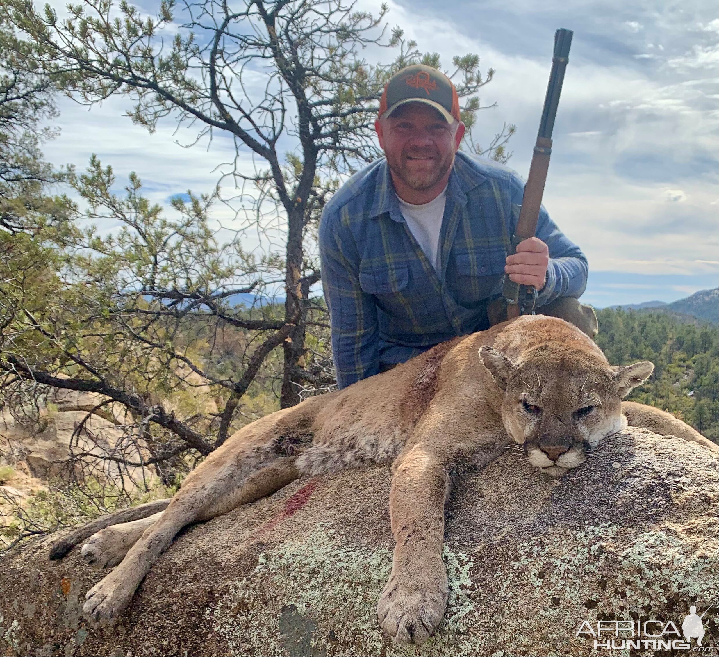 Mountain Lion Hunt Arizona